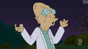 Birds+fw+_e9c36afd338fe7ff4e001451c1b77c99.gif